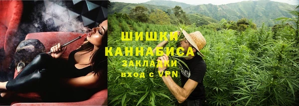 ГАЛЛЮЦИНОГЕННЫЕ ГРИБЫ Арсеньев