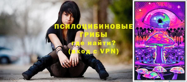 ALPHA PVP Аркадак