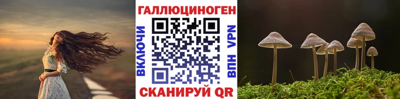 Галлюциногенные грибы прущие грибы Спасск-Дальний